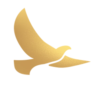 Pittaz Logo